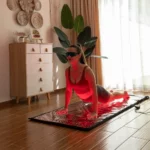 Rodljus-Therapy-180-cm